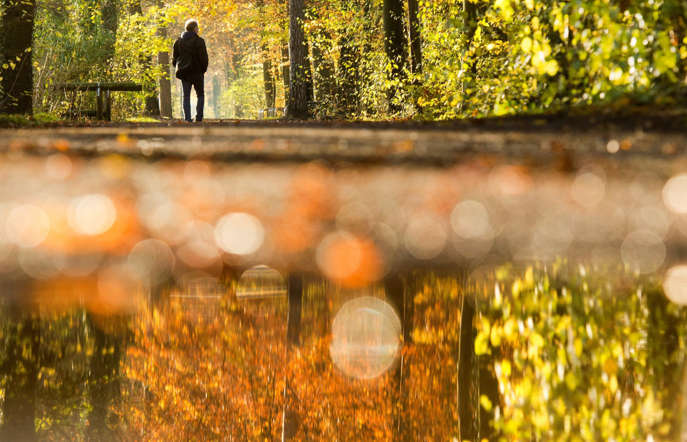 Indahnya Musim Semi di Berbagai Negara