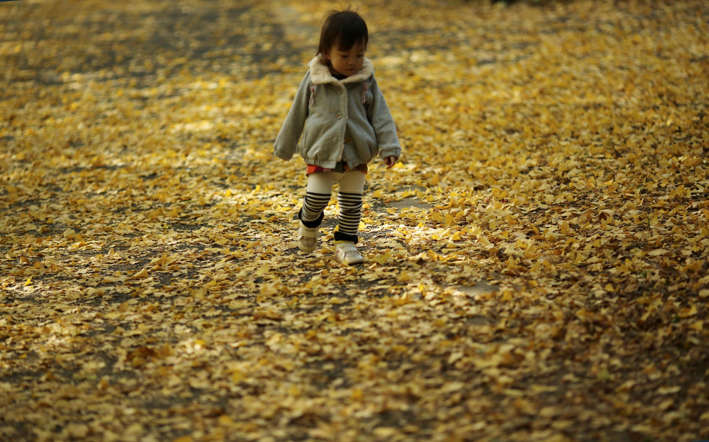 Indahnya Musim Semi di Berbagai Negara