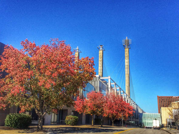 Indahnya Musim Semi di Berbagai Negara