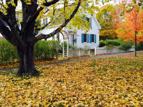 Indahnya Musim Semi di Berbagai Negara