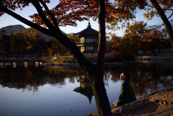 Indahnya Musim Semi di Berbagai Negara