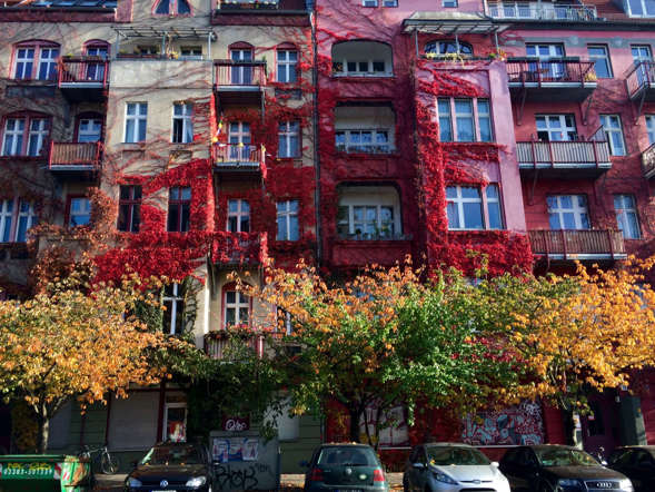 Indahnya Musim Semi di Berbagai Negara