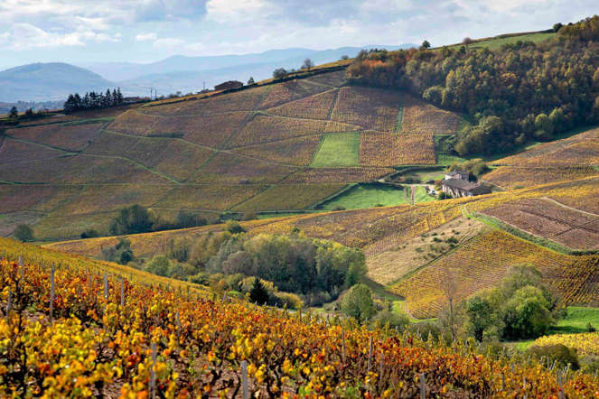 Indahnya Musim Semi di Berbagai Negara