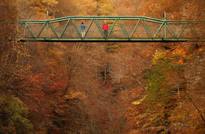Indahnya Musim Semi di Berbagai Negara