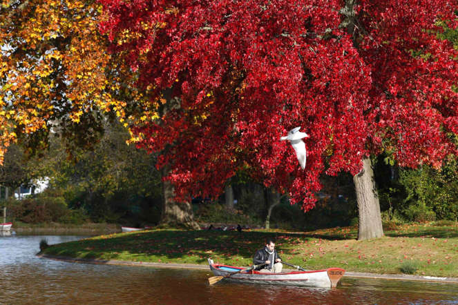 Indahnya Musim Semi di Berbagai Negara