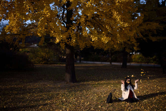 Indahnya Musim Semi di Berbagai Negara