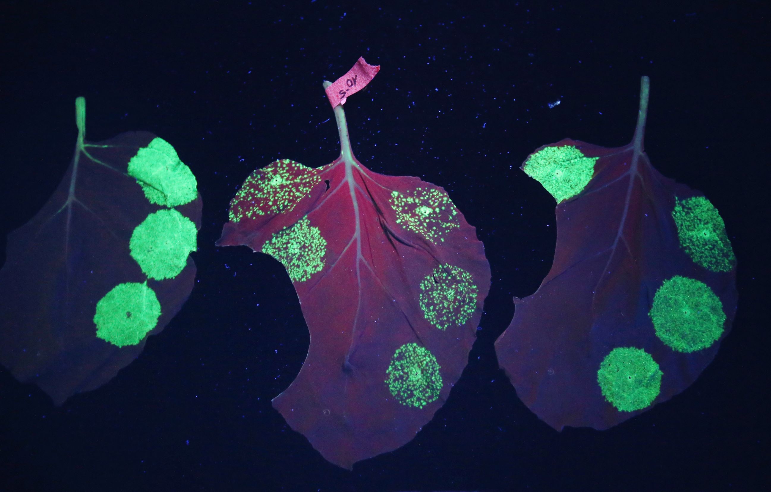 Perkembangan Iptek Tahun 2014