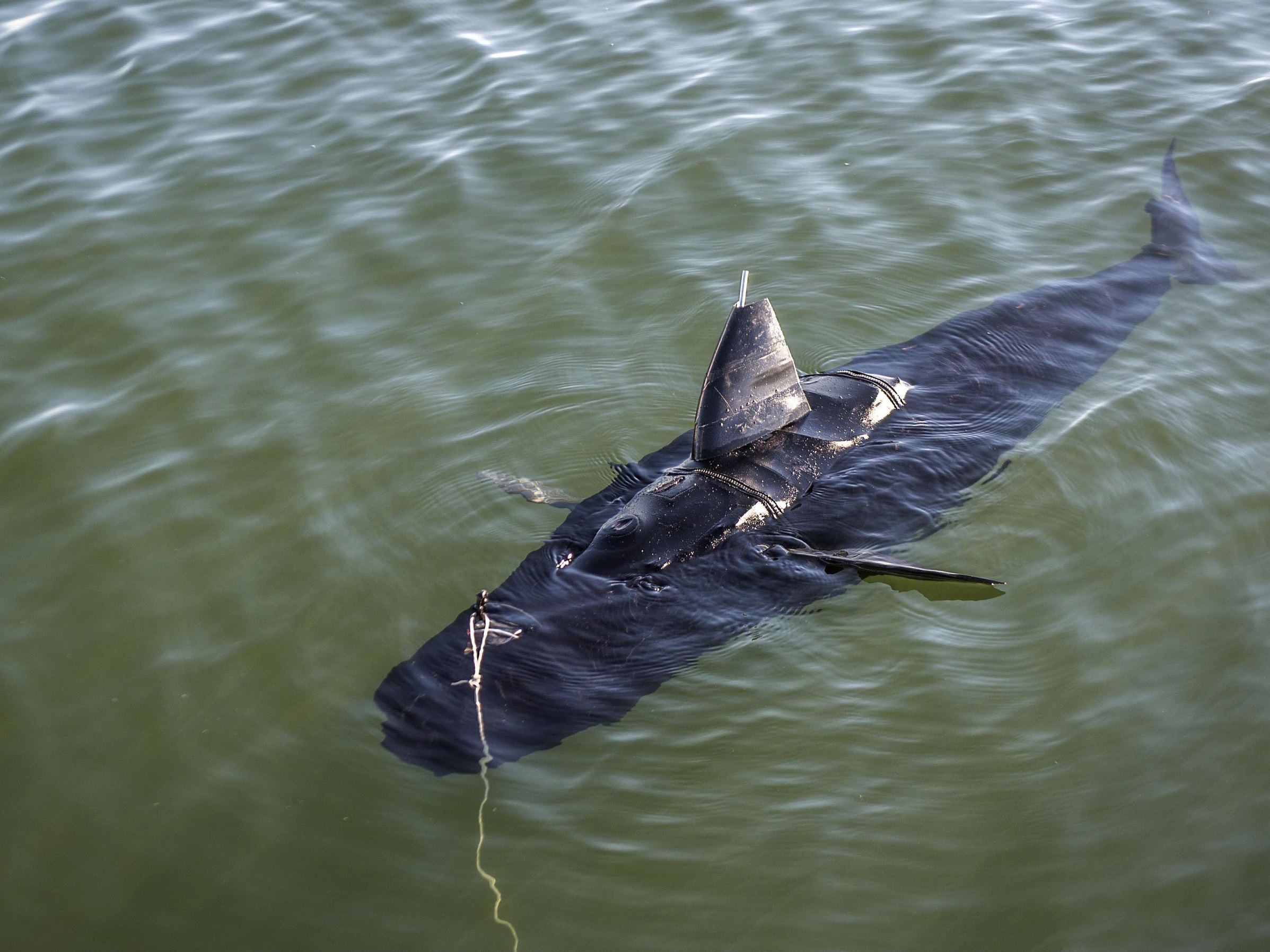 Robot-Robot Keren Tahun 2014