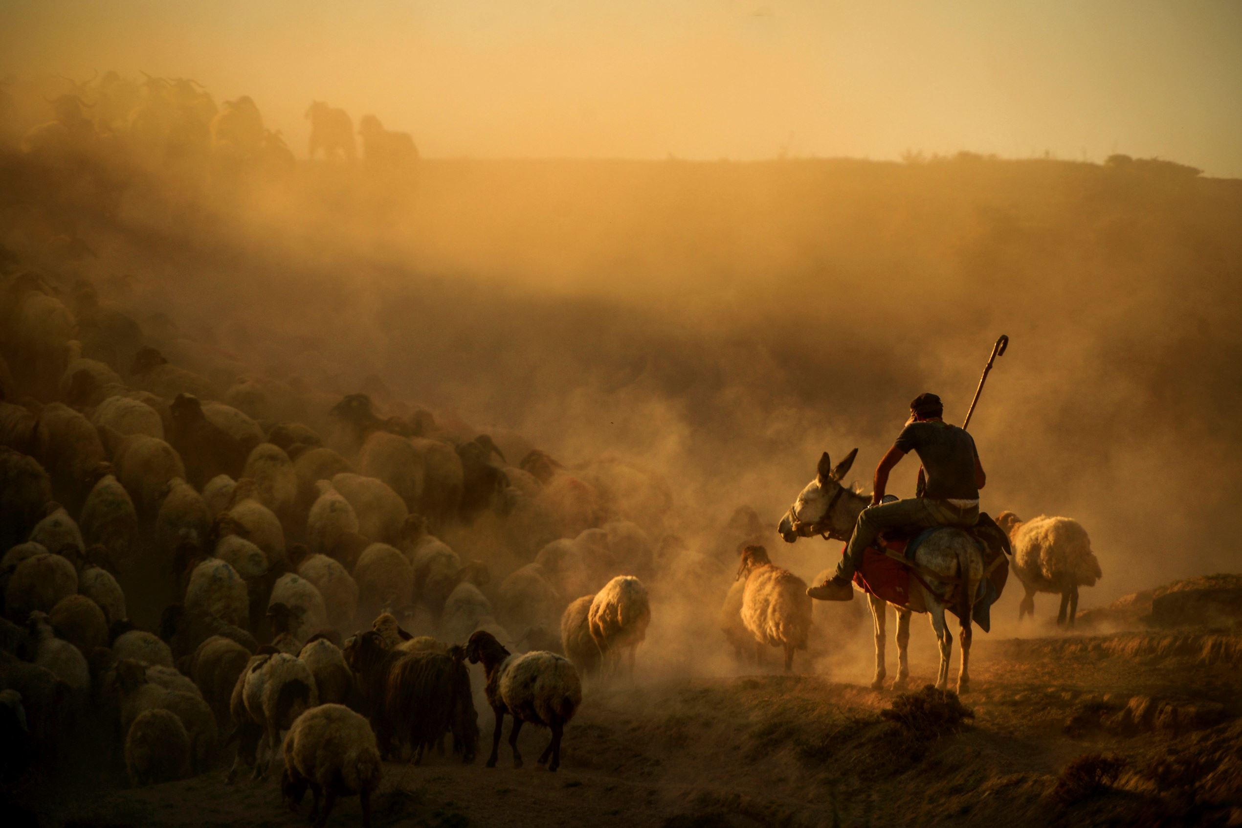 FOTO TERBAIK 2014 VERSI KANTOR BERITA TURKI