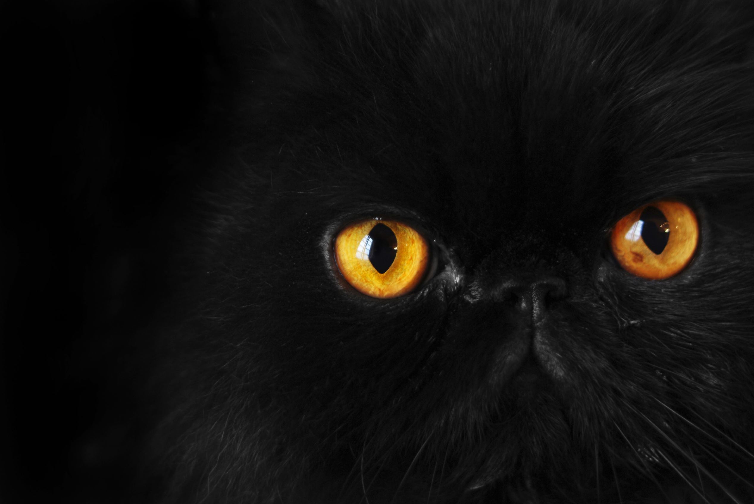 Cerita di Balik Takhayul Populer di Dunia