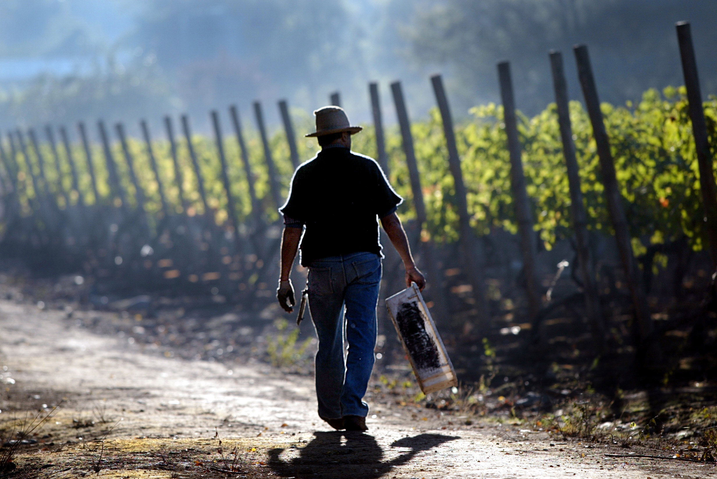 Negara yang Warganya "Gila Kerja"