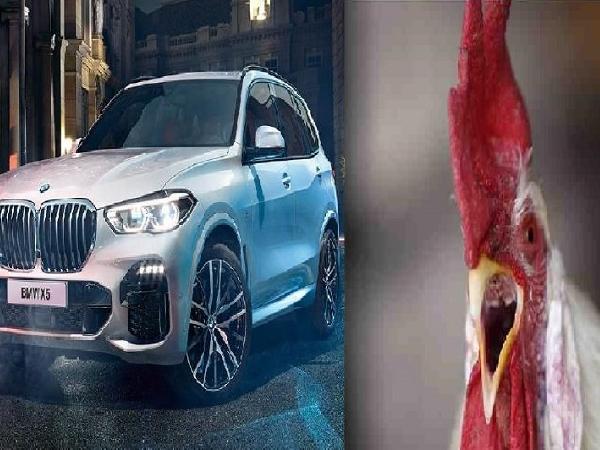 KONYOL, Demi Beli Bensin Mobil Mewah Pria Ini Nekat Curi Ayam dan Bebek