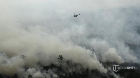 Inilah Kondisi Kebakaran Hutan dan Lahan di Provinsi Riau