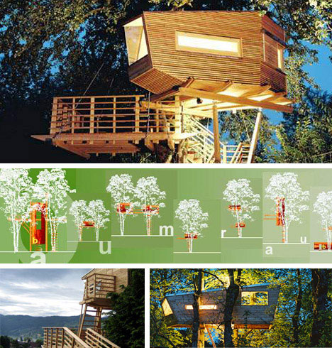 Design Treehouse Keren dan Unik