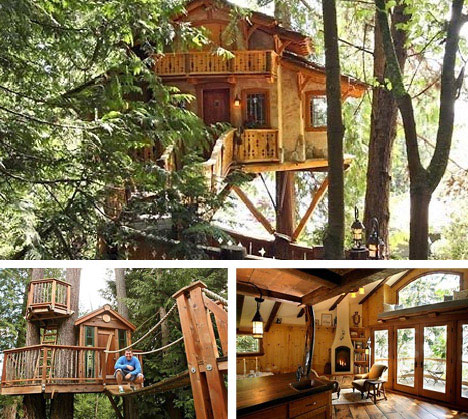 Design Treehouse Keren dan Unik