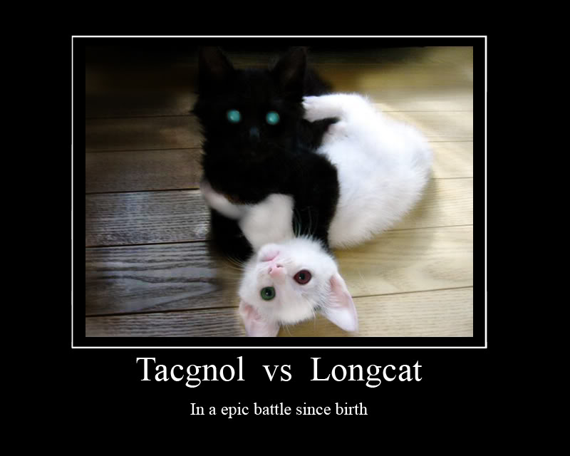 &#91;REBORN!!!&#93; Longcat, tacgnoL, Serious Cat IZ BACK (NGAKAK INSIDE!!!)