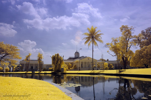 Mahasiswa , seorang mahabodoh dikota orang.