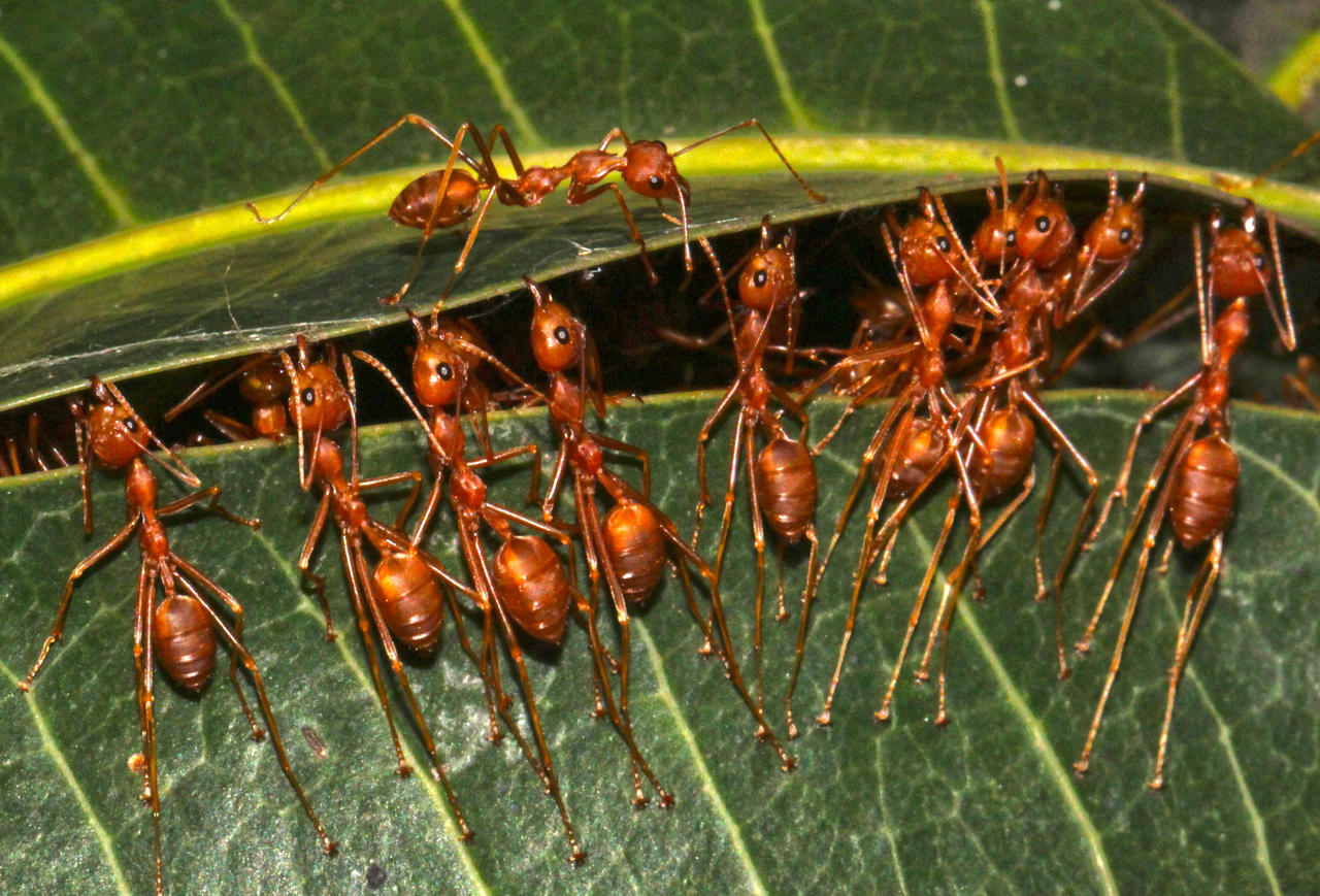 Hal Yang Dapat Membuat Kita Belajar Dari Mereka