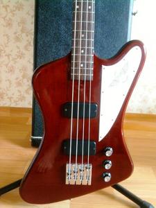 ◆ Gibson Thunderbird Studio | 11jt ◆ Bass