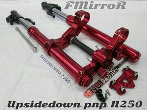UpSideDown (USD) Ninja 250 R/FI/Z