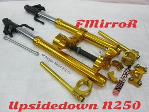 UpSideDown (USD) Ninja 250 R/FI/Z