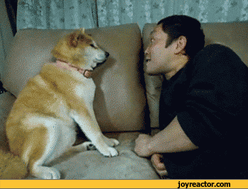 8362-29721769175817692972-151--restricted-area--bar--pub-151-29721769175817692972-8362---part-3