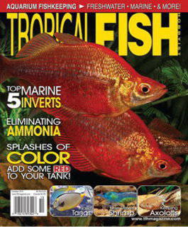 tropical-fish-magazine