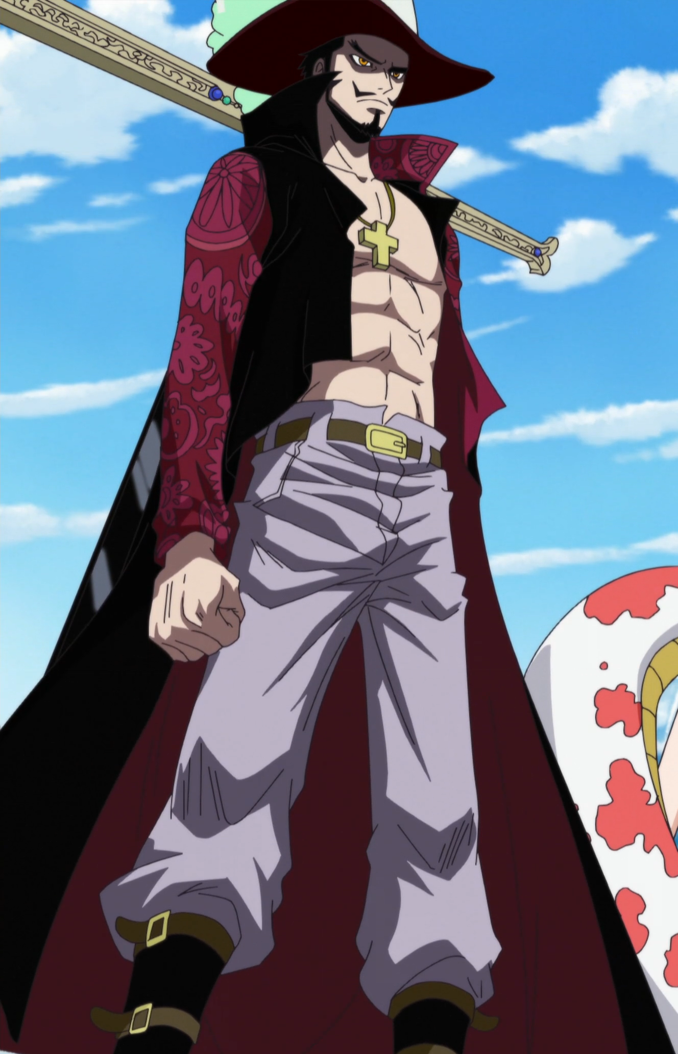 Para Anggota Shichibukai