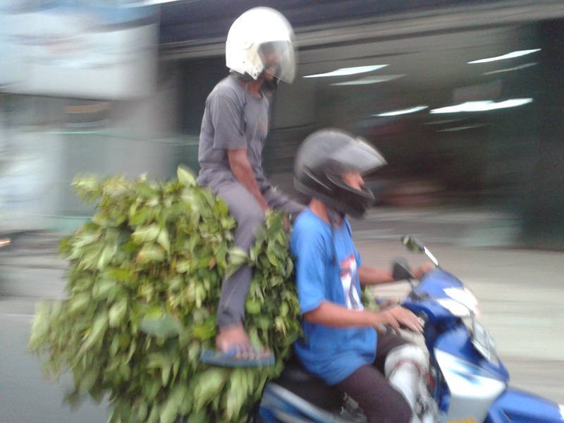 Ngakaaaaaks liat ini orang haha :D
