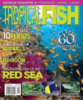 tropical-fish-magazine