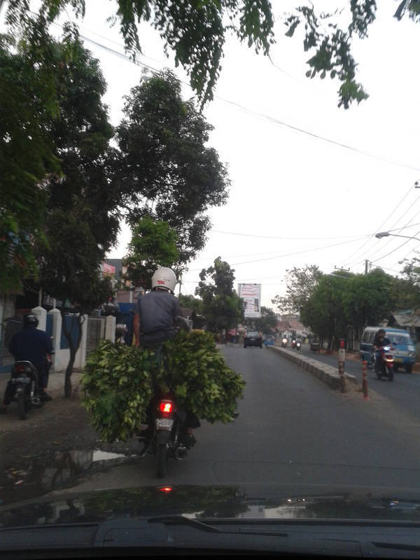Ngakaaaaaks liat ini orang haha :D