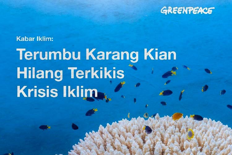 Perbanyak Amal! Berikut Rekomendasi NGO di Indonesia