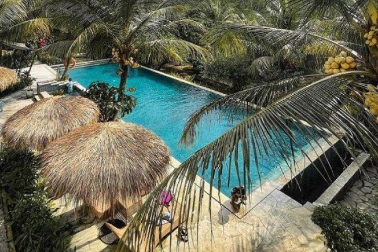 Rekomendasi Penginapan Untuk Staycation Di Bogor