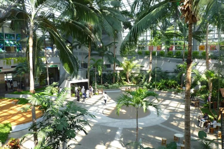Rekomendasi Tempat Wisata Alice In Borderland