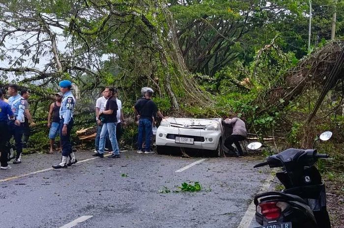 bodi-toyota-avanza-lenyap-ditindih-mahluk-hidup-besar-pengemudi-meregang-nyawa