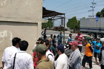Pramono Pasrah Usaha Susu Sapi Miliknya Tutup karena Ditagih Pajak Rp670 Juta
