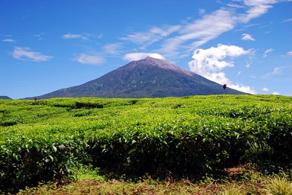 17 Taman Nasional di Indonesia