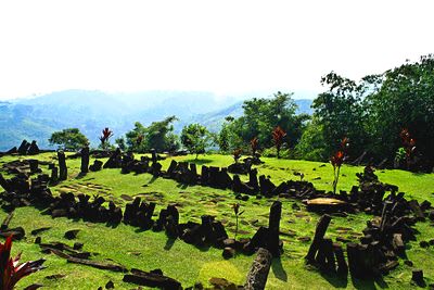 Misteri Batu Megalith “Gunung Padang” di Jawa Barat, “Stone Henge” Versi Indonesia (G