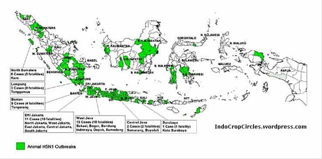 Menguak Konspirasi Jahat AS Terhadap Indonesia, Tentang Virus Flu Burung (H5N1)