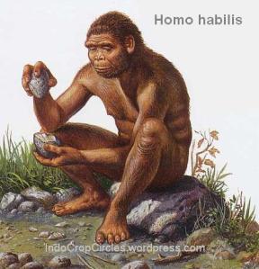MANUSIA TIDAK PRIMITIF (TEORI DARWIN TERPUTUS)