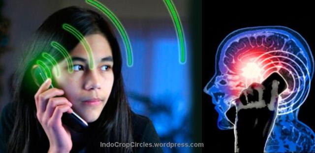 Saat Radiasi Ponsel Bisa Sebabkan Kanker &amp; Kemandulan