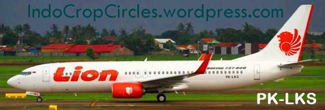 Inilah Dugaan Penyebab Jatuhnya Lion Air di Bali!