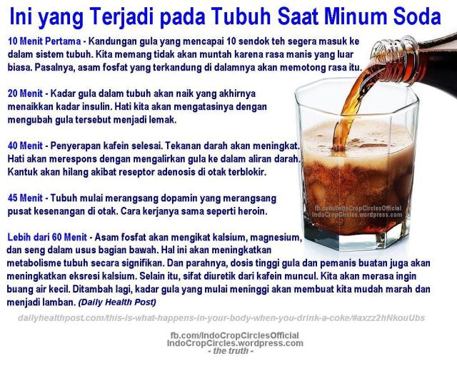 Ilmuwan Ungkap Bahaya Minuman Soda Bagi Otak!