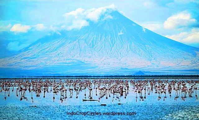 Wow! Danau Misterius Ini Ubah Hewan Mati Jadi Batu!