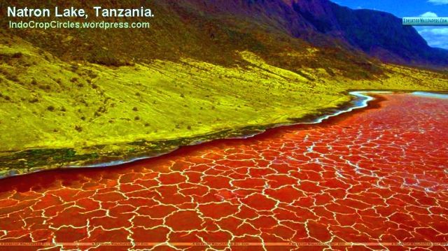 Wow! Danau Misterius Ini Ubah Hewan Mati Jadi Batu!