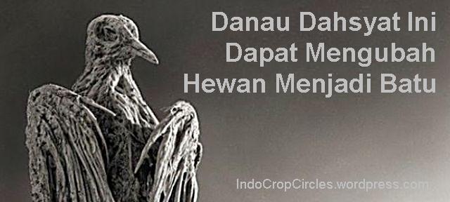 Wow! Danau Misterius Ini Ubah Hewan Mati Jadi Batu!