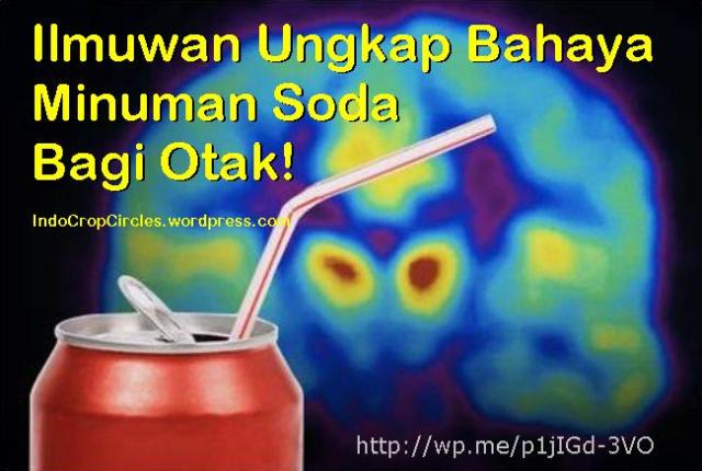 Ilmuwan Ungkap Bahaya Minuman Soda Bagi Otak!