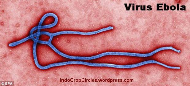 Virus Ebola: Mematikan dan Tak Ada Obatnya, Kini Mulai Menyebar!