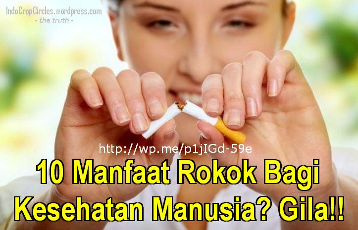 10 MANFAAT ROKOK BAGI KESEHATAN