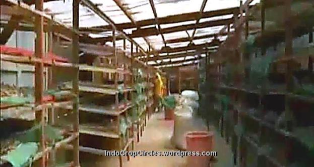 Pil Kontrasepsi Pria Ditemukan Ilmuwan Indonesia, Perusahaan Farmasi Besar “Ngiler”